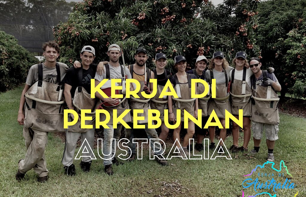 Kerja Di Perkebunan Australia - Segala Info Yang Wajib Anda Ketahui for Kerja Di Australia