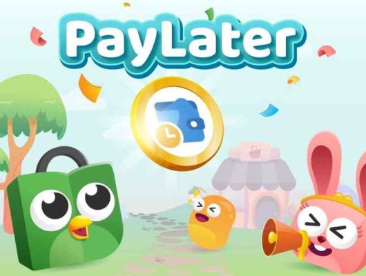 Rahasia Belanja Hemat di Tokopedia PayLater Cicilan Ungkap Solusinya