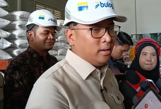 Ekspor Beras Indonesia ke Malaysia: 2000 Ton Per Bulan!