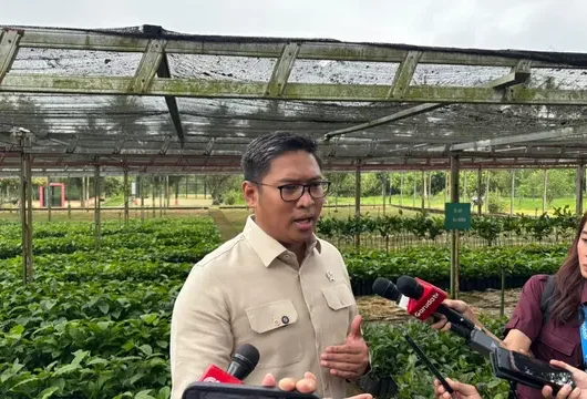 Harga Gabah Anjlok 40%, Wamentan Ungkap Fakta Mengejutkan