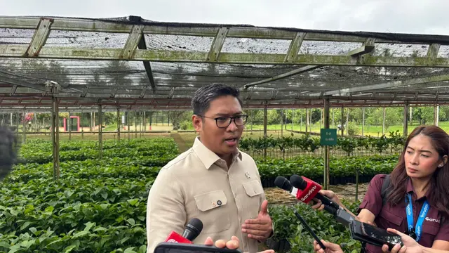 Harga Gabah Anjlok 40%, Wamentan Ungkap Fakta Mengejutkan