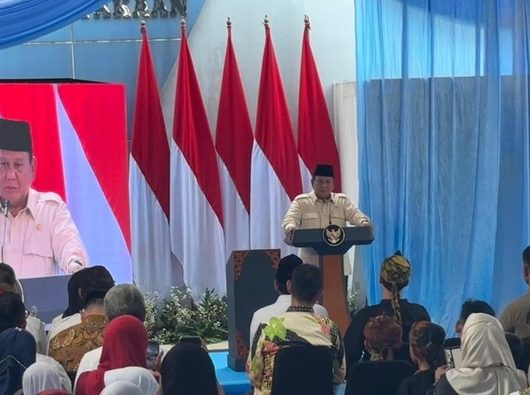 Melimpahnya Pangan RI: Kendala Gudang & Solusi Prabowo