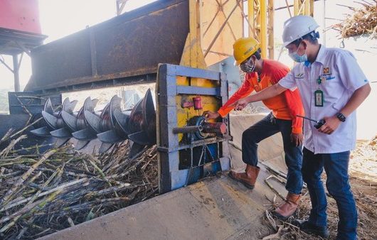 PTPN III Raih Untung Besar: Laba Rp705 Miliar Kuartal I 2025