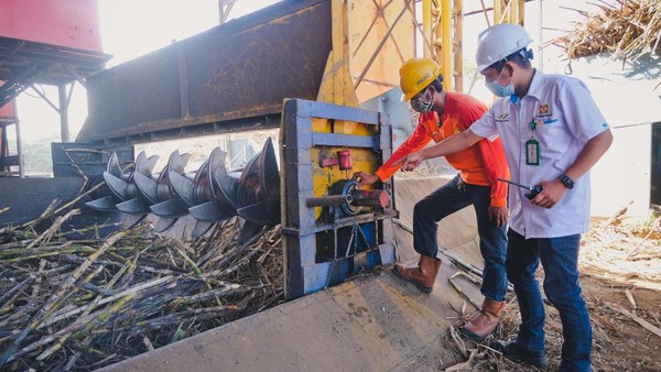 PTPN III Raih Untung Besar: Laba Rp705 Miliar Kuartal I 2025