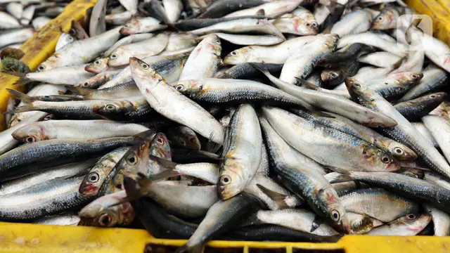 Revolusi Makan Ikan: Dari Rumah Kita Hingga Pasar Dunia