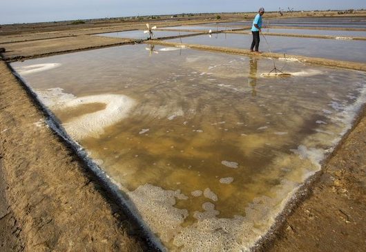 NTT Siap Jadi Pusat Garam Nasional: Proyek Tambak Raksasa 10 Ribu Hektar