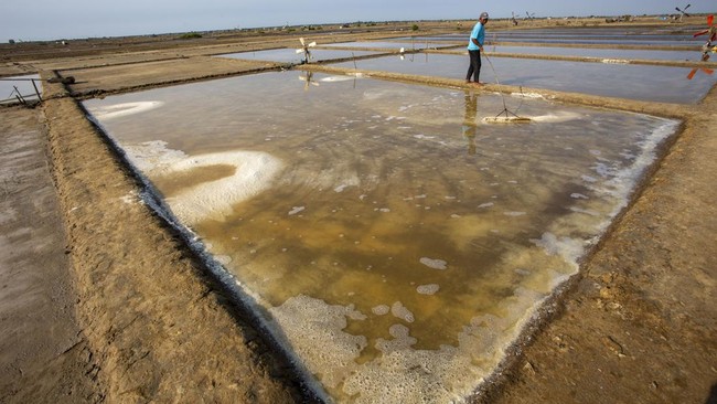 NTT Siap Jadi Pusat Garam Nasional: Proyek Tambak Raksasa 10 Ribu Hektar
