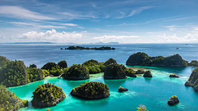 Raja Ampat: Ekonomi Hijau Gantikan Tambang, Izin Dicabut DPR
