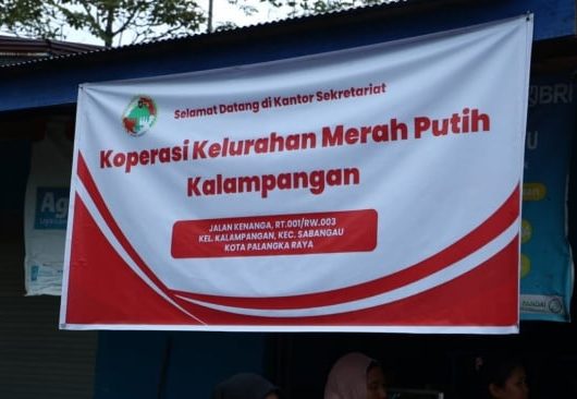 Hanya 100 Kopdes Merah Putih Siap Beroperasi dari 80.000?